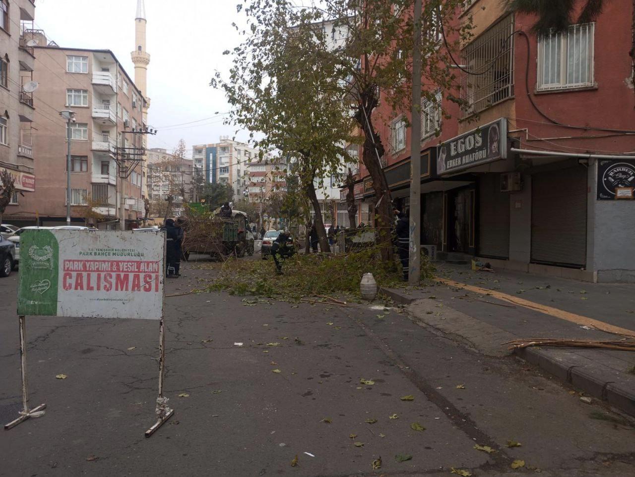 Budama Çalışmaları Devam Ediyor!