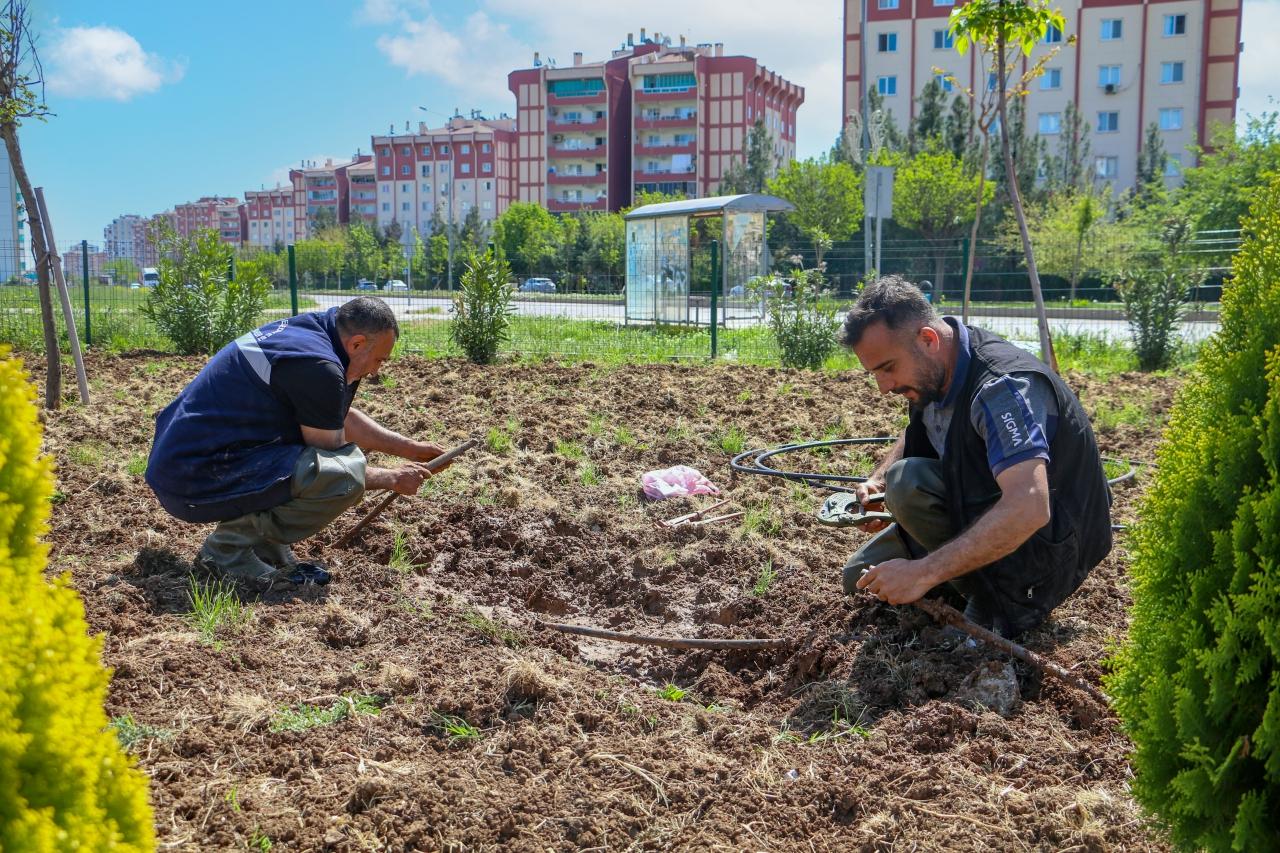 Edebiyat Parkı’nda Yenileme Çalışmaları Başladı