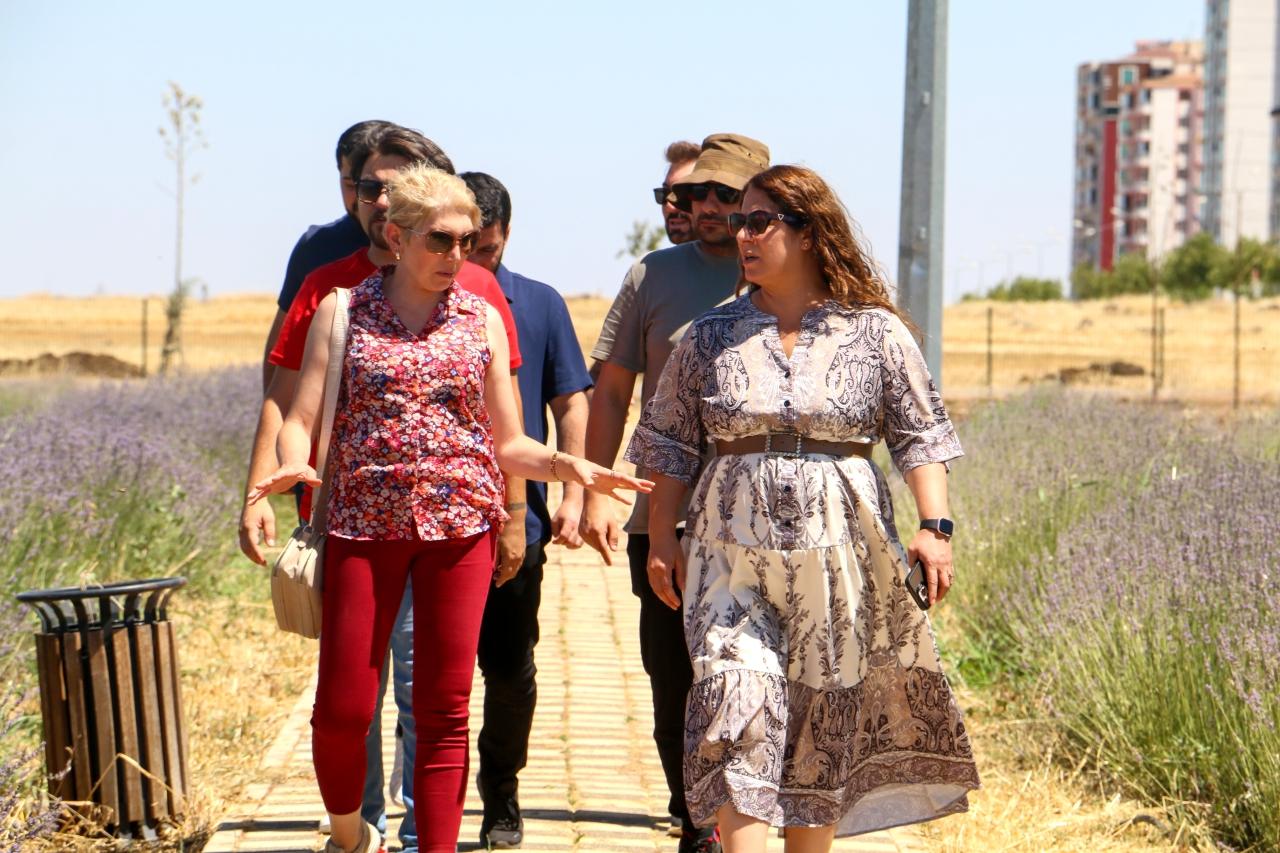 Eş Başkanımız Safiye Akdağ Lavanta Parkı’nda İncelemelerde Bulundu