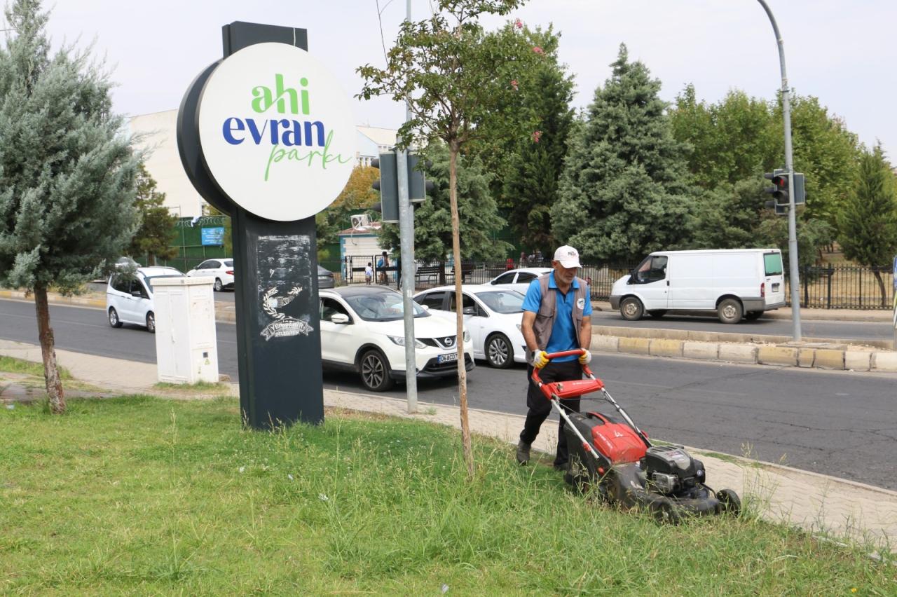 Li Parka Ahî Evran Dema Çînkirina Çîmenan e