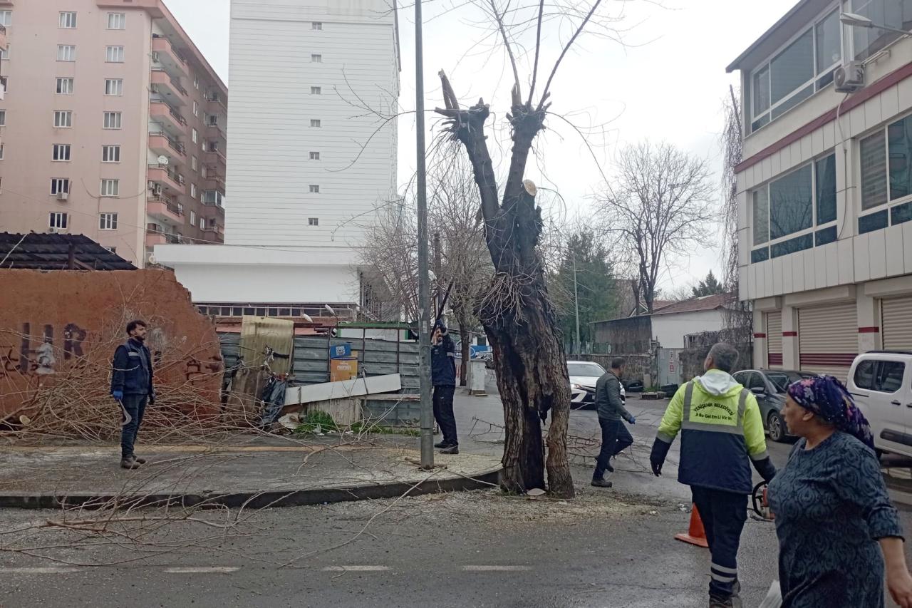 Yenişehir ilçemiz Ali Emiri Caddesi, Ali Emiri 1. Sokak’ta bulunan ve yurttaşlarımızın başvurularıyl