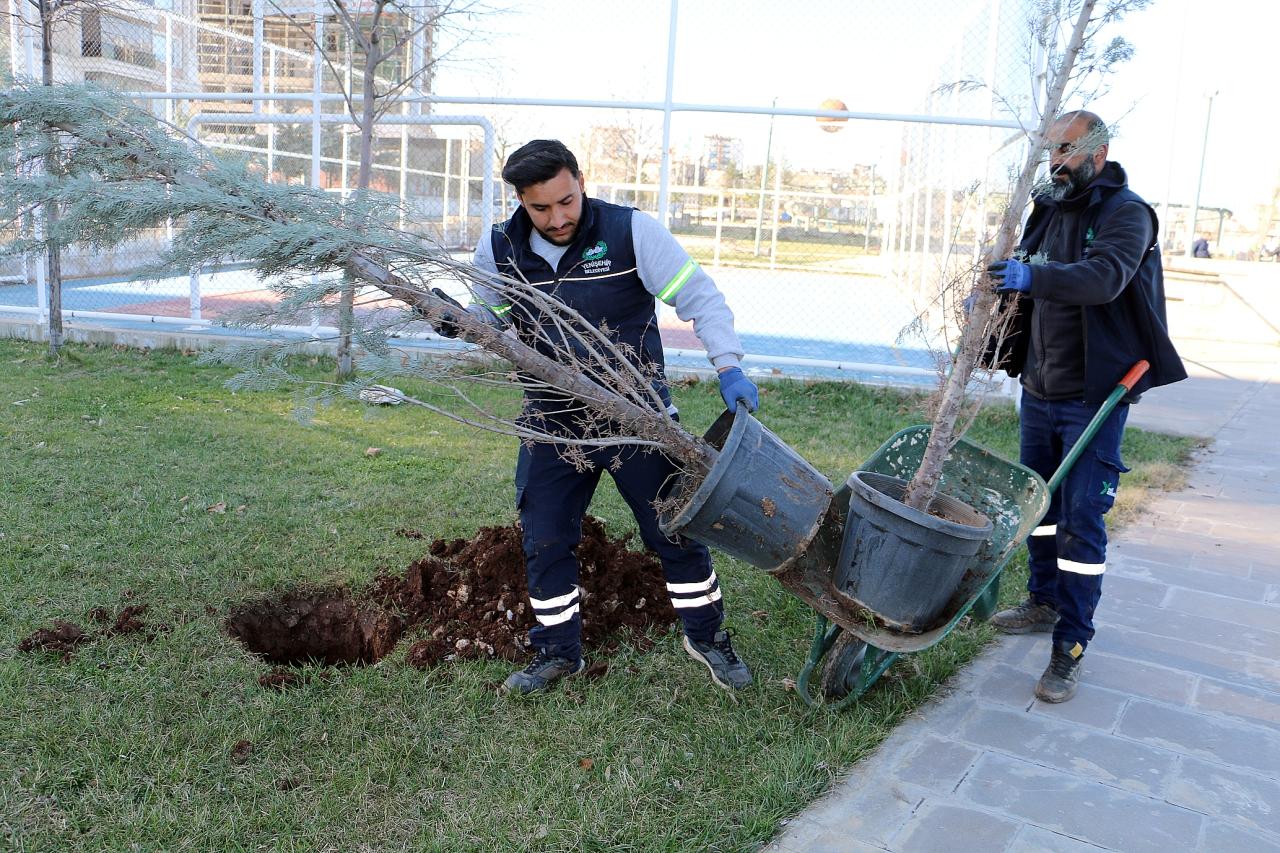 Aziz Sancar Parkı yenilenen peyzajıyla daha yeşil