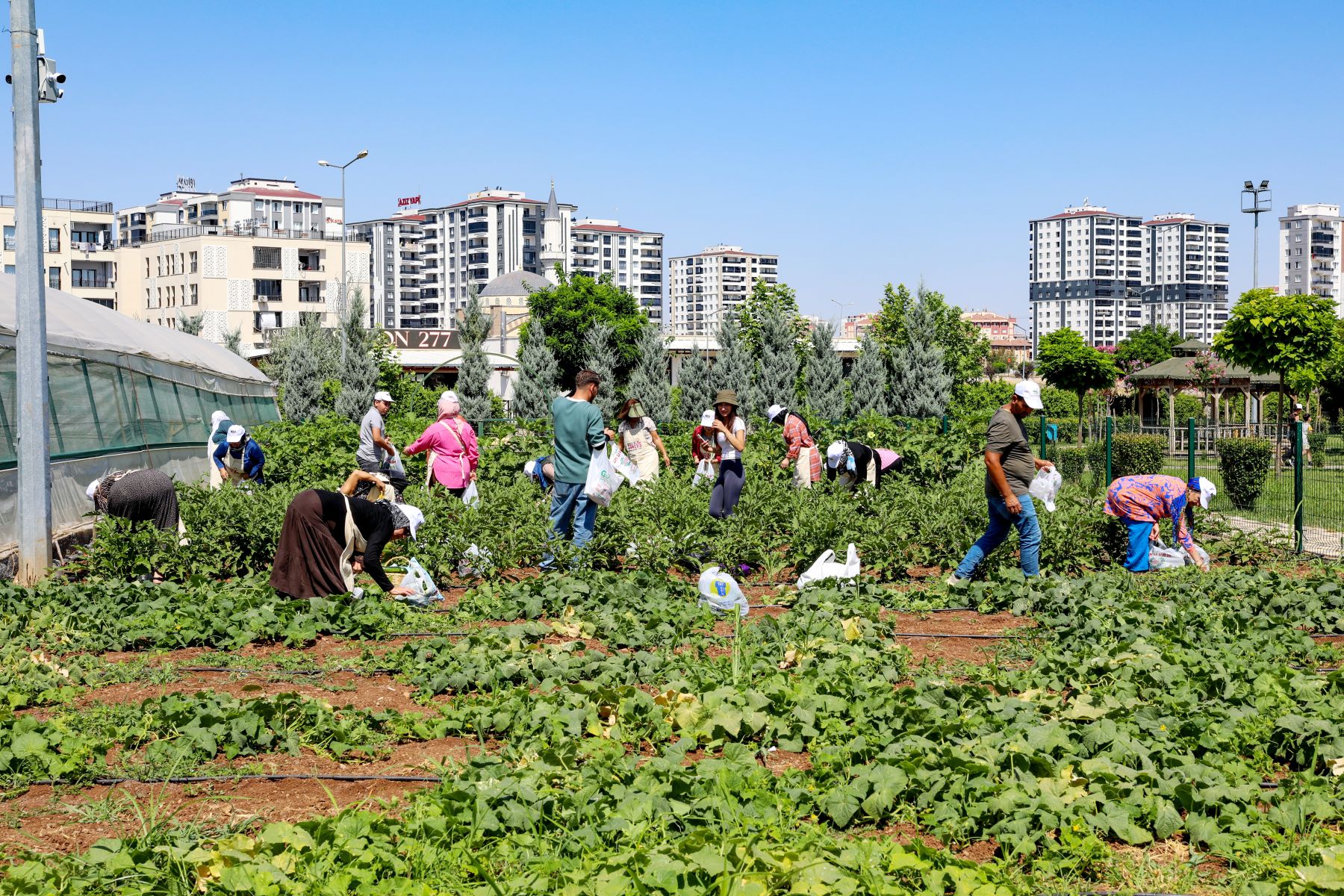 Dicle Mahallesi’nden Kadınlar Üretim ve Dayanışmada Buluştu